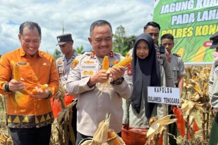 Kapolda Sultra Hadiri Panen Raya Jagung di Kabupaten Konawe