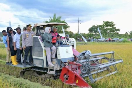 Ketua DPRD Kota Kendari Ikuti Pelaksanaan Panen Raya di Baruga